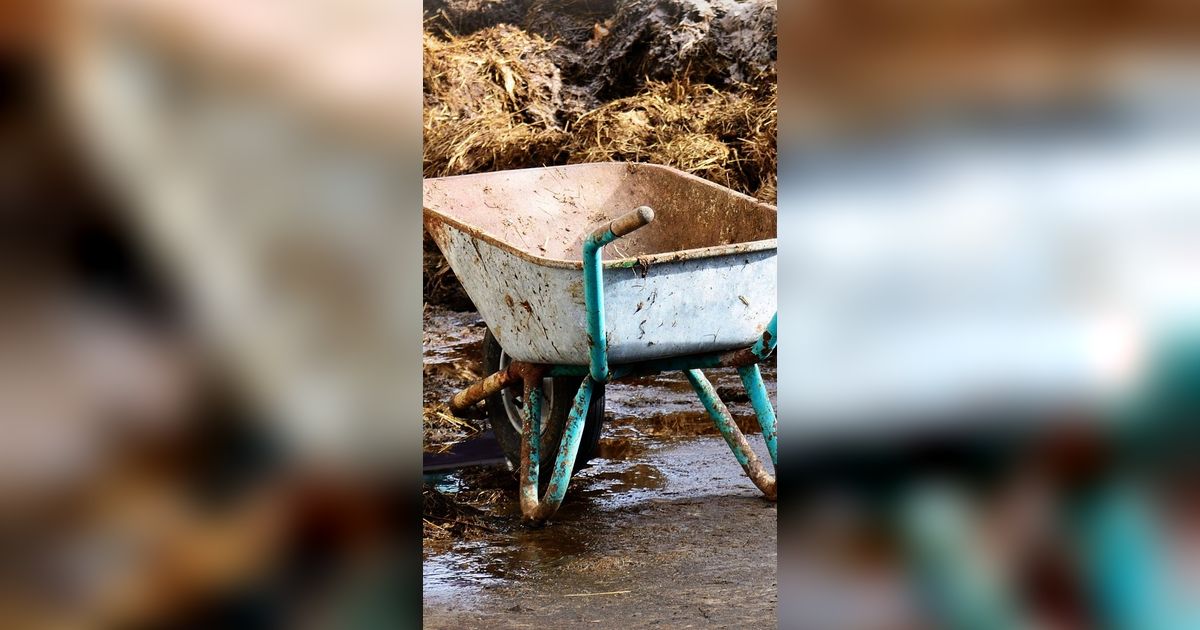 Dulu Diprotes Warga, Rumah Potong Hewan di Cilegon Sulap Limbah Kotoran Jadi Pupuk Organik