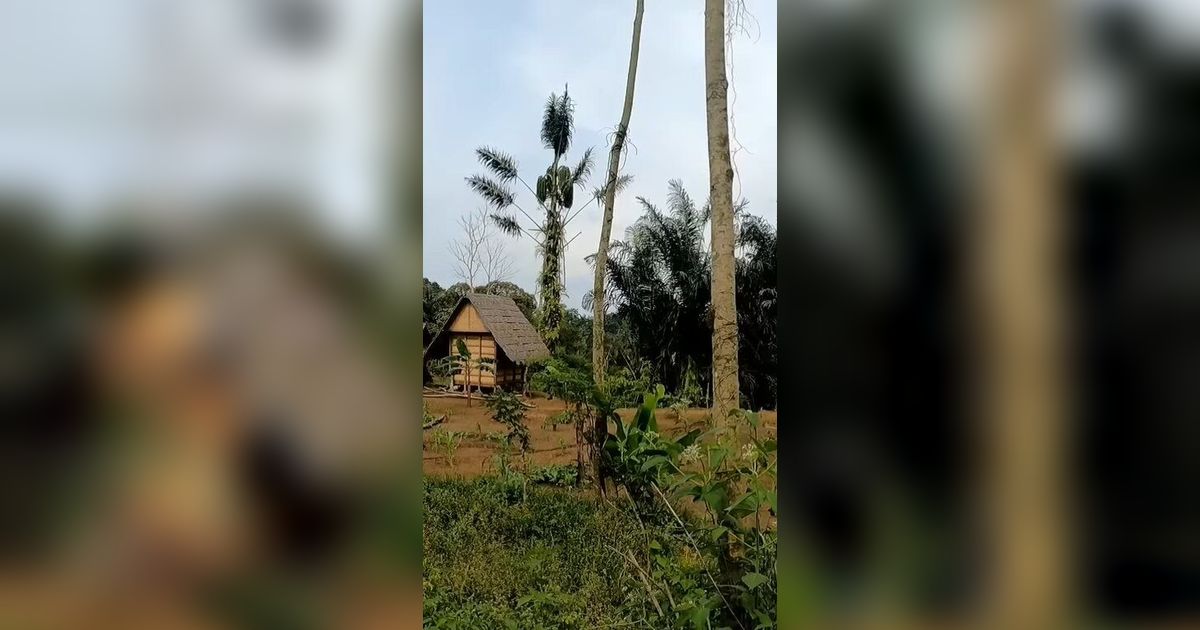 Tak Banyak Diketahui, Begini Cara Suku Baduy Memakamkan Warganya