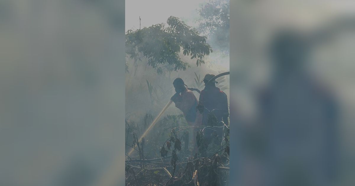 FOTO: Pekanbaru Siaga Kebakaran Hutan Akibat Cuaca Panas Ekstrem
