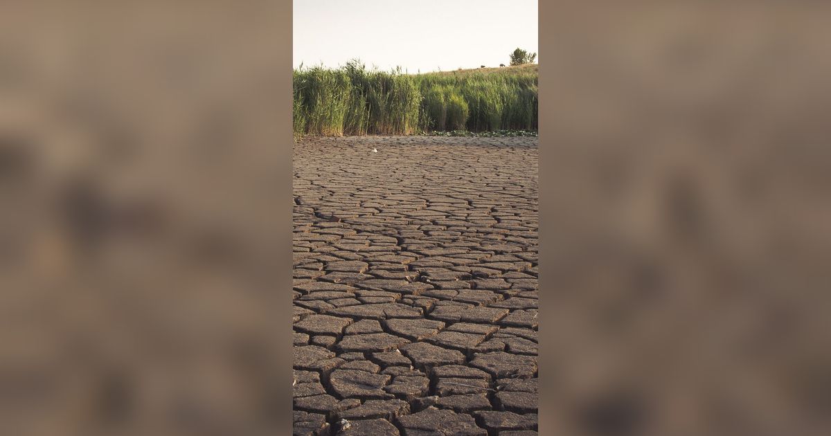 Dampak Kekeringan dari El Nino Banyak Dirasakan Warga, BPBD Lebak Siapkan Penanganan Ini