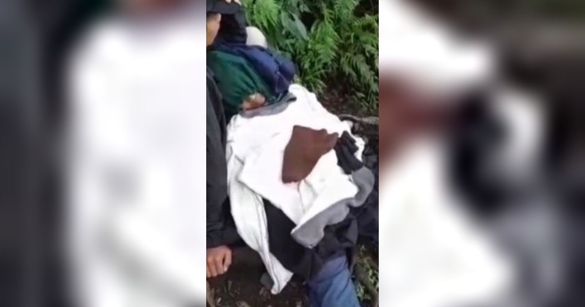 Hipotermia, Pendaki Gunung Lemongan Lumajang Dievakuasi