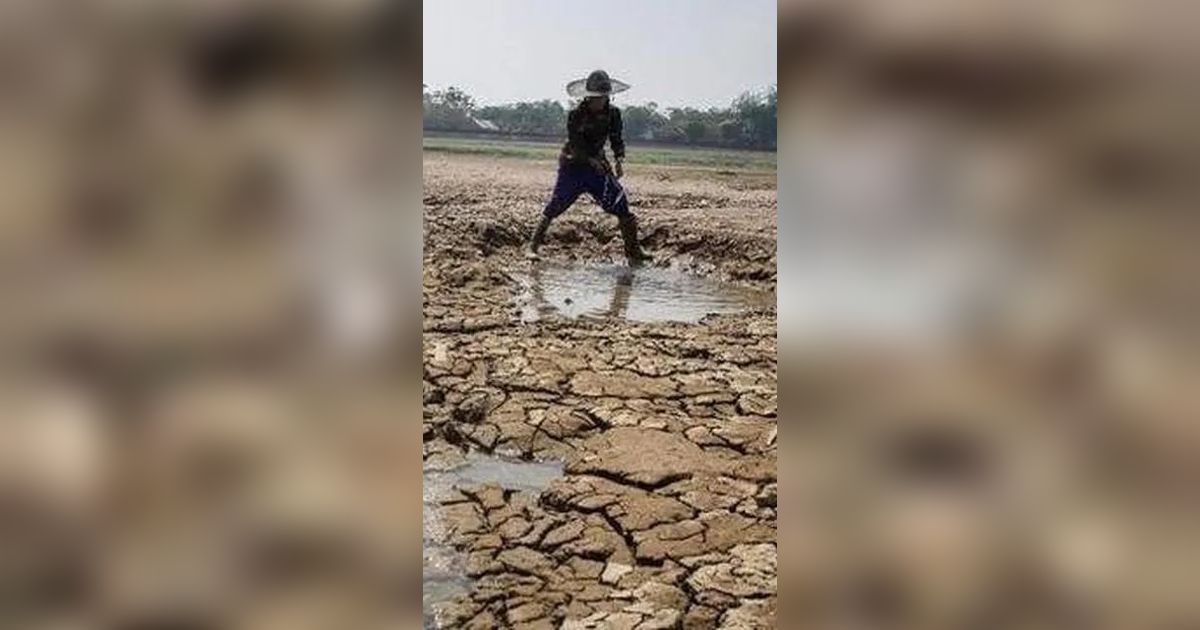 Dampak Kekeringan, Warga Kabupaten Bogor Mandi Pakai Air Kubangan