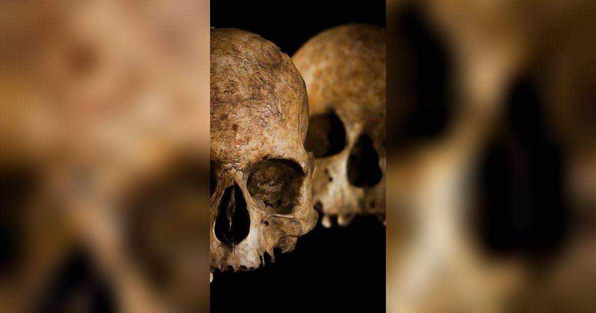 Arkeolog Temukan Liang Kubur di dalam Gua, Isinya Tulang Manusia Berusia 6.000 Tahun
