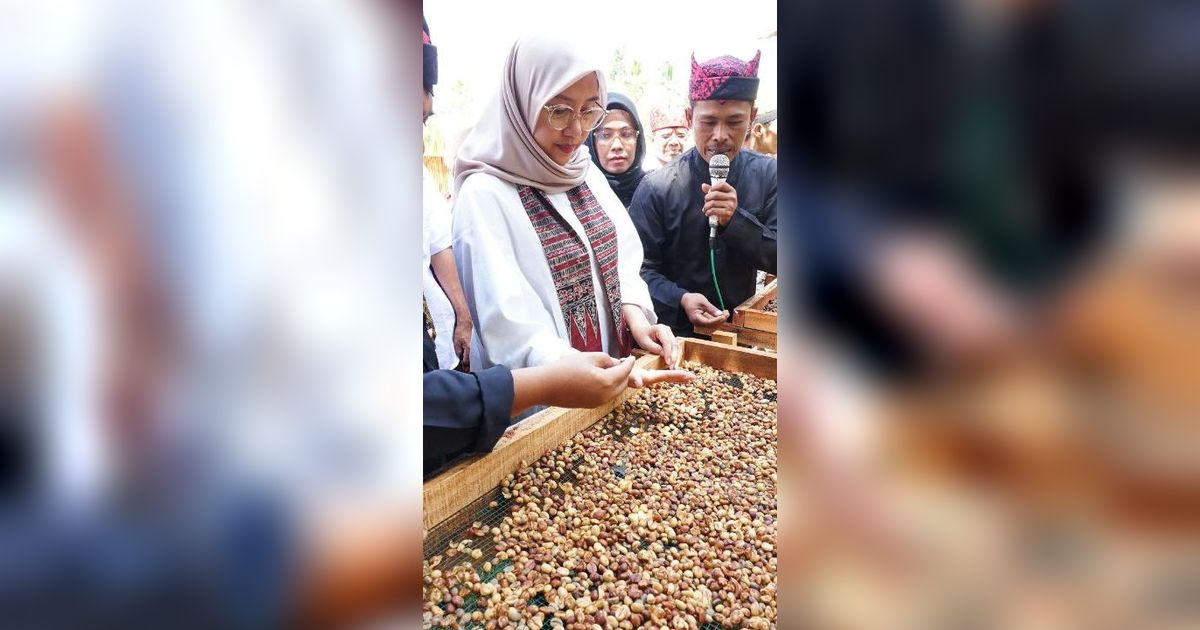 Banyuwangi Daftarkan Paten Indikasi Geografis Kopi Robusta