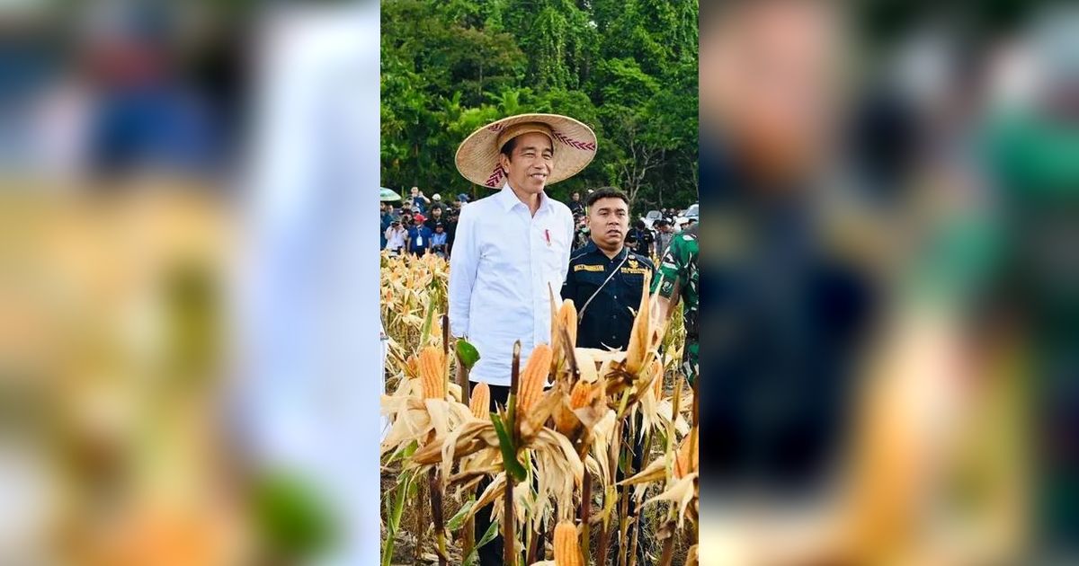 PKB Pertanyakan Motif PDIP Kritik Food Estate: Kenapa Baru Sekarang?