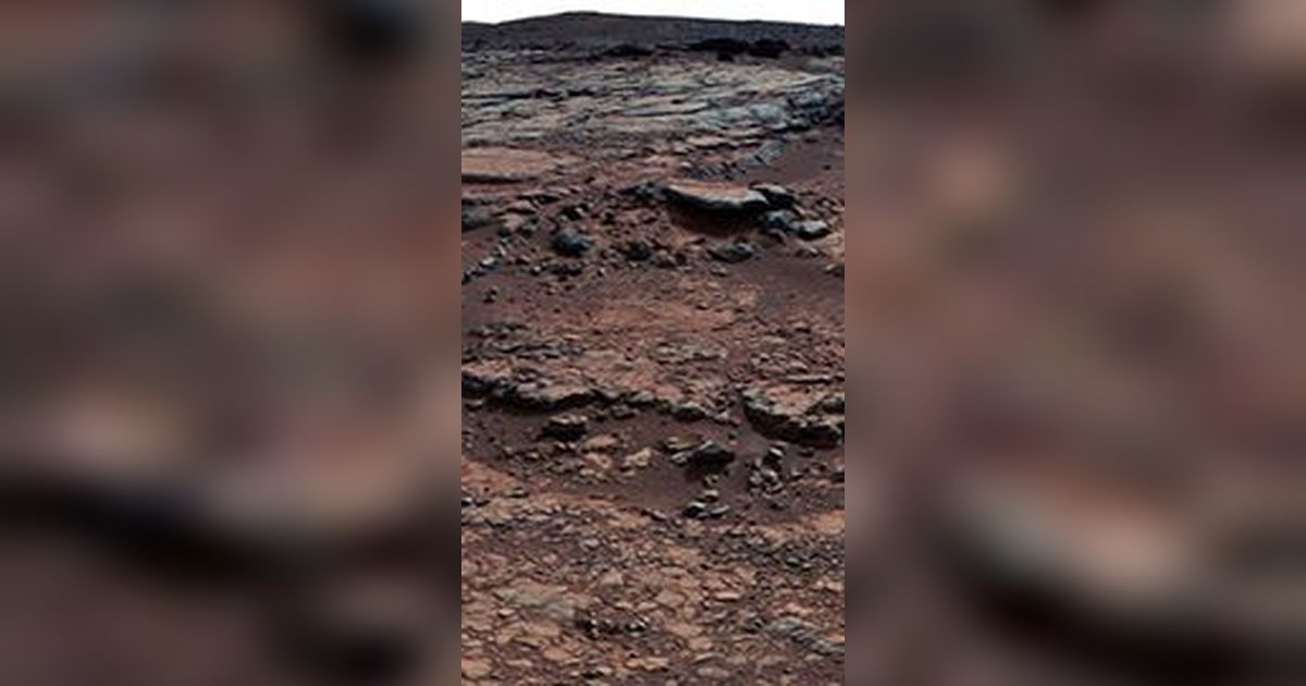 Ilmuwan Temukan Ada Kehidupan di Mars!