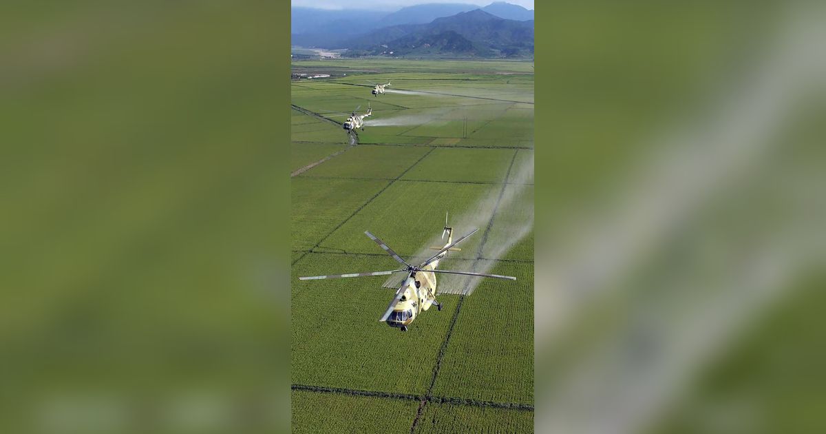 FOTO: Bukan Buat Perang, Kim Jong-un Kerahkan Pesawat Militer untuk Siramkan Pestisida di Sawah