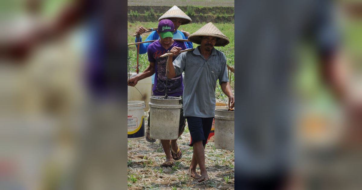 Kekeringan di Lumajang, Warga Cari Air hingga 1 Km