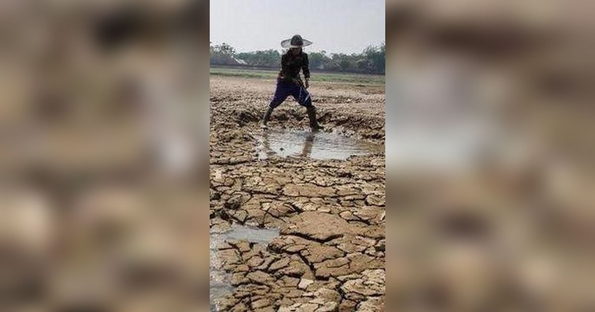 Kekeringan Melanda Ngawi, Begini Perjuangan Warga Ambil Air di Sungai Bengawan Solo