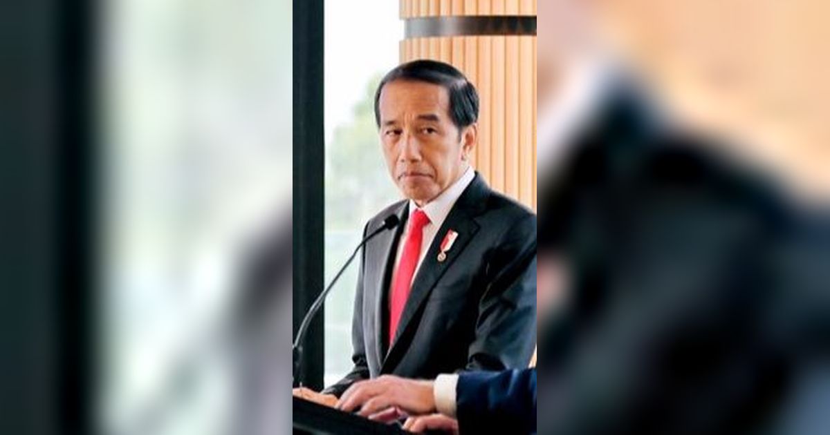 Jokowi Anggap Rocky Gerung Hal Kecil, Lebih Baik Kerja