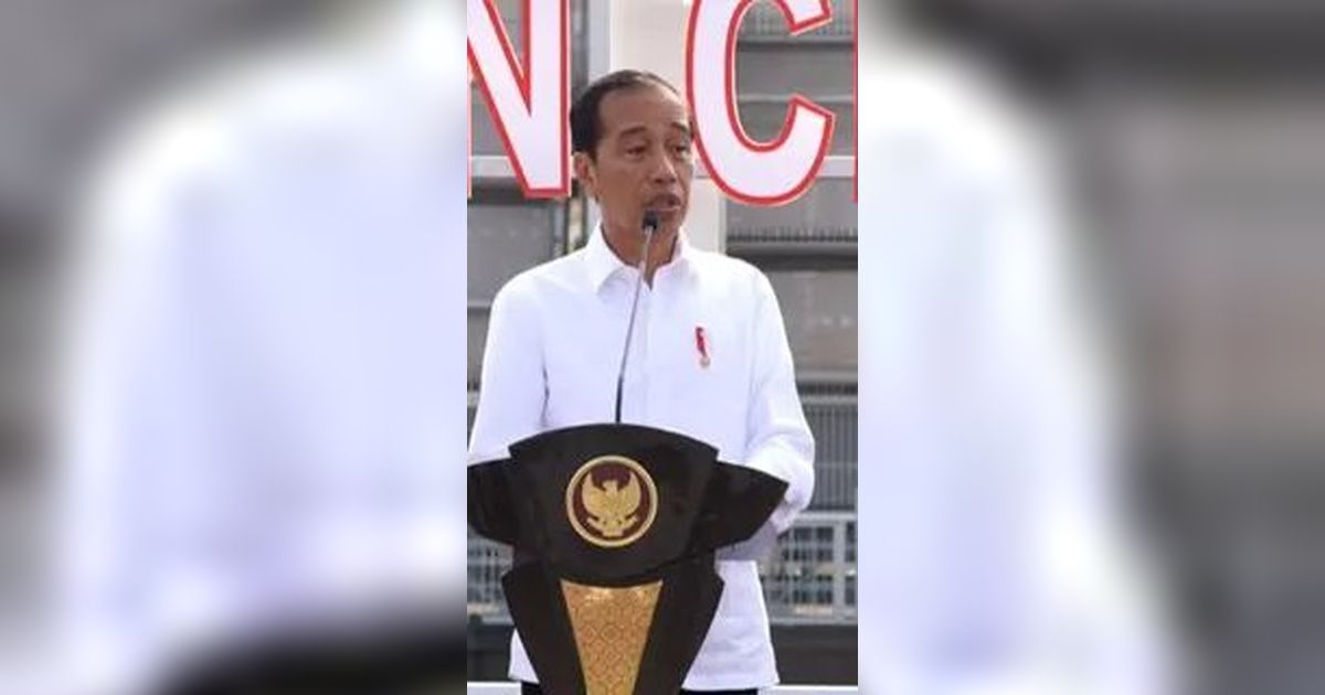 Soal Rocky Gerung, PAN: Pak Jokowi Sudah Kebal Anggap Saja Hiburan