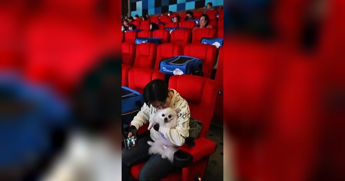 Pakai Dana IPO, Cinema XXI Bakal Tambah Layar Bioskop 10 Persen Tiap Tahun