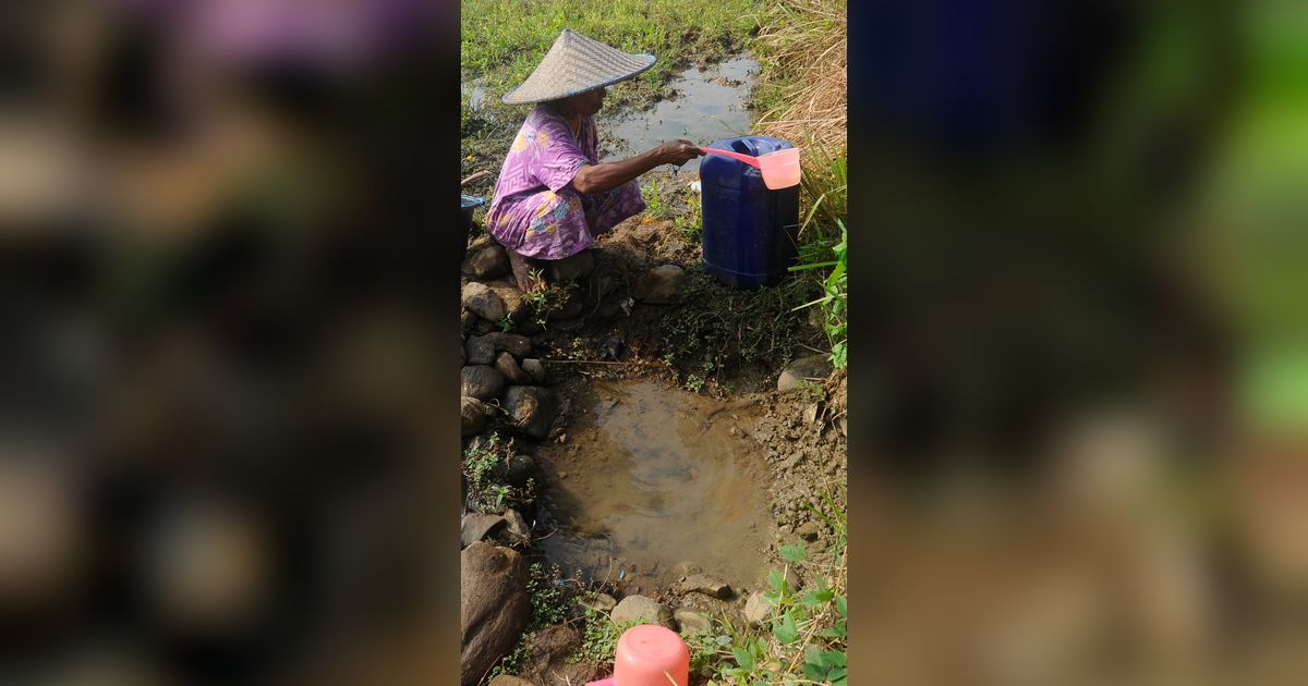 FOTO: Nestapa Warga Bogor Dilanda Krisis Air Bersih, Sudah Dua Bulan Mengandalkan Sumber Air Mirip Kubangan di Tengah Sawah