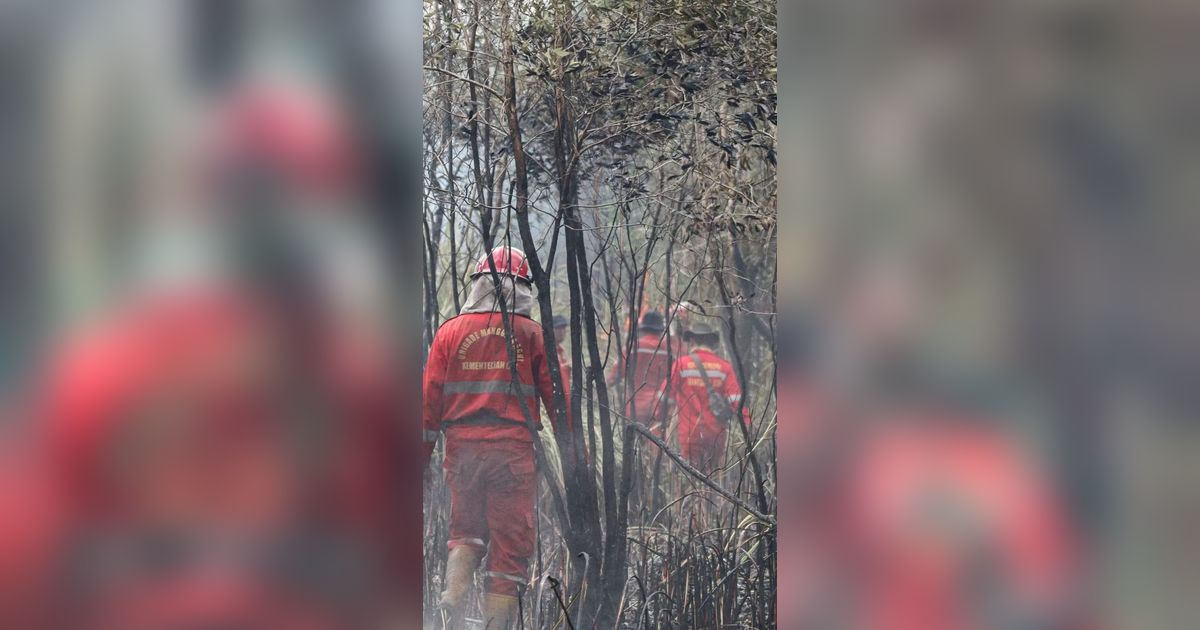 Bikin Geleng-Geleng, Luas Lahan Terbakar di OKI Sumsel 8 Kali Lipat Luas dari Tahun Lalu