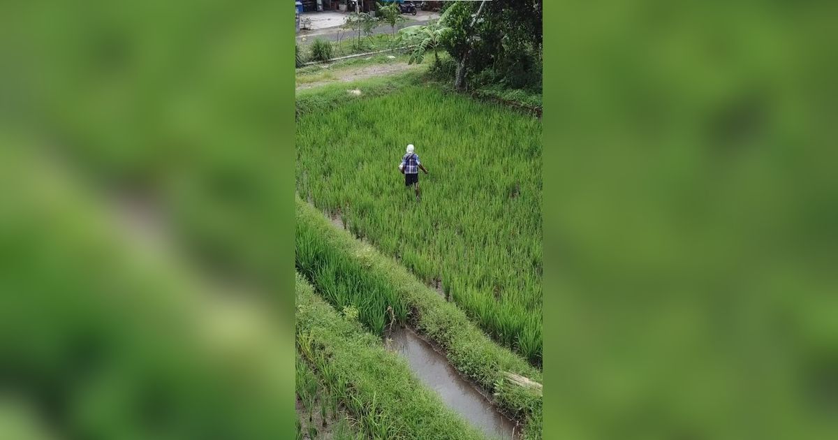 Kekurangan Pupuk Subsidi, Kementan Dorong Banjarbaru Ajukan Realokasi