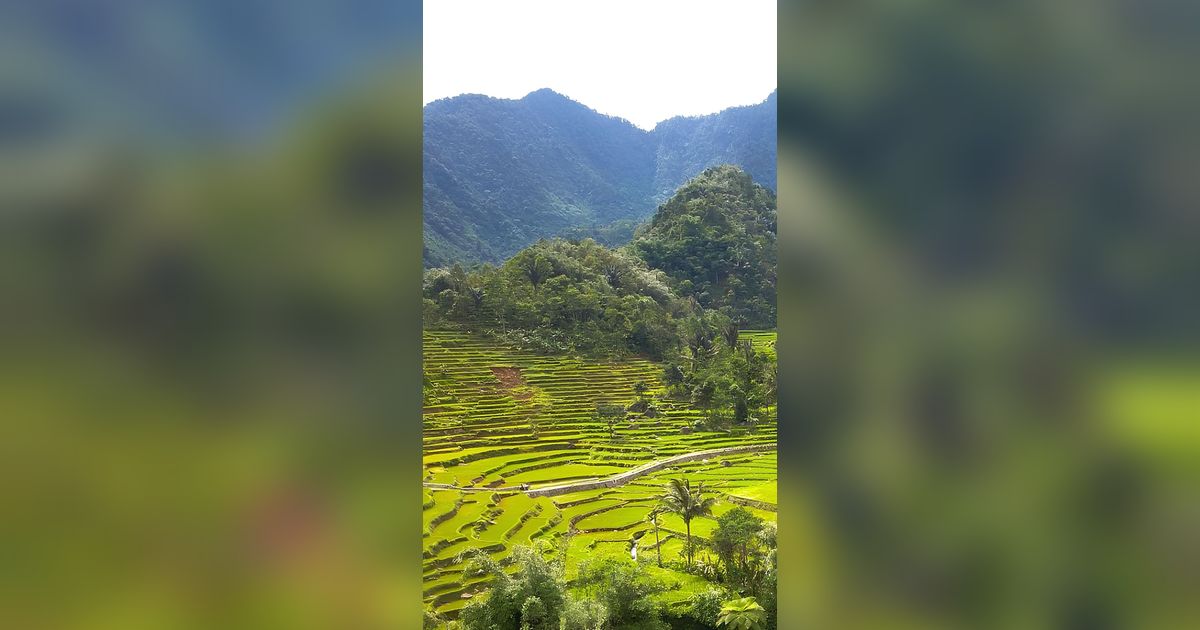 Intip Daya Tarik Desa Purwabakti di Bogor, Suasananya Bikin Betah