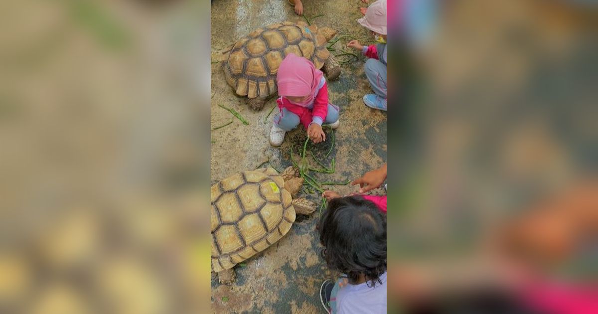 Mengunjungi Jogja Exotarium, Kebun Binatang Mini dengan Berbagai Wahana Menarik