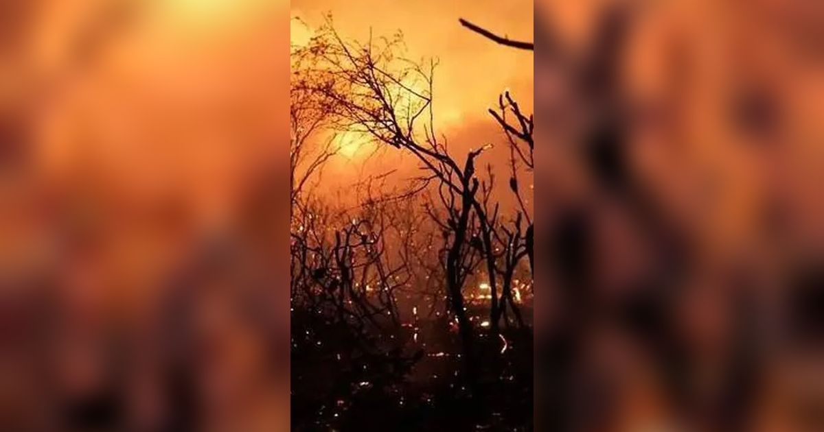 VIDEO: Pilu Korban Kebakaran Kebon Jahe Gambir Meratapi Harta Bendanya Ludes