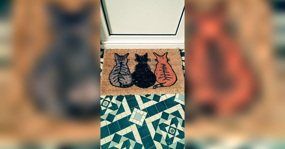 Pasang Keset Depan Pintu, Penghuni Apartemen ini Diprotes Tetangganya