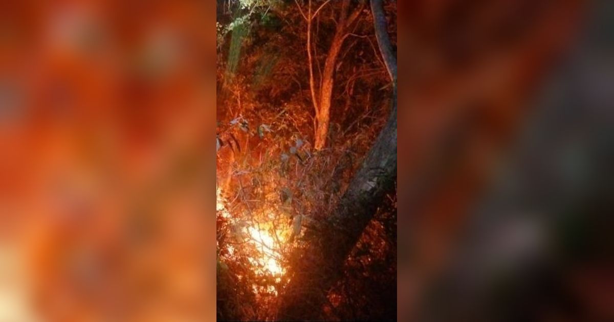 Pemadaman Gunung Ciremai Kebakaran Terkendala Angin