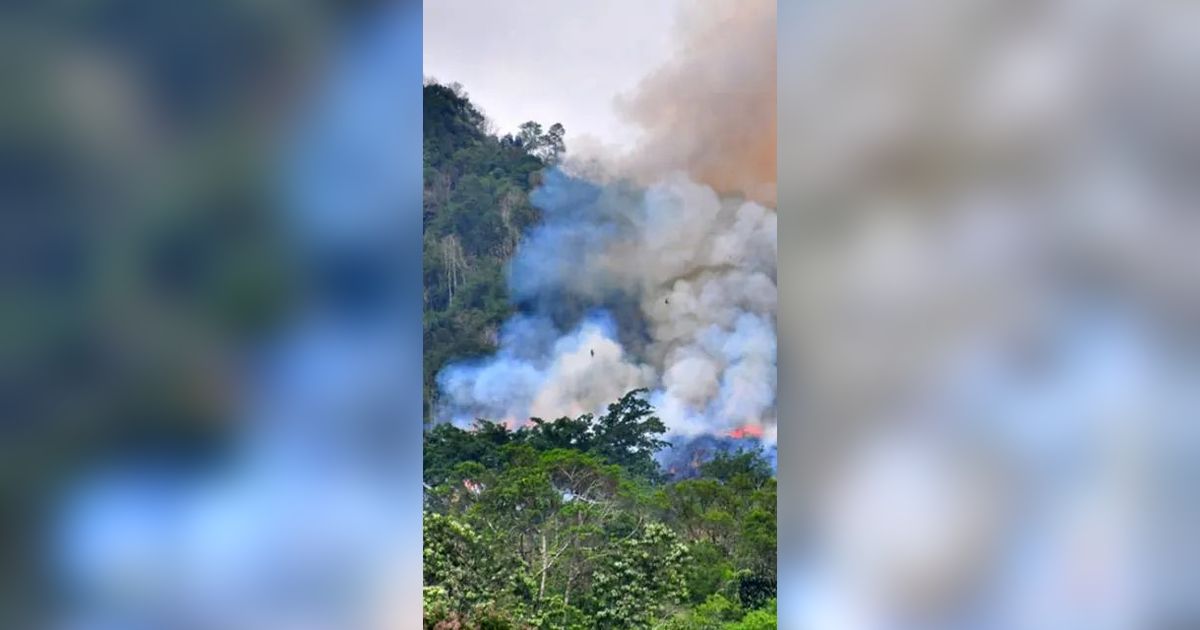 Dampak Karhutla Meluas, Udara di Palembang Mulai Tidak Sehat