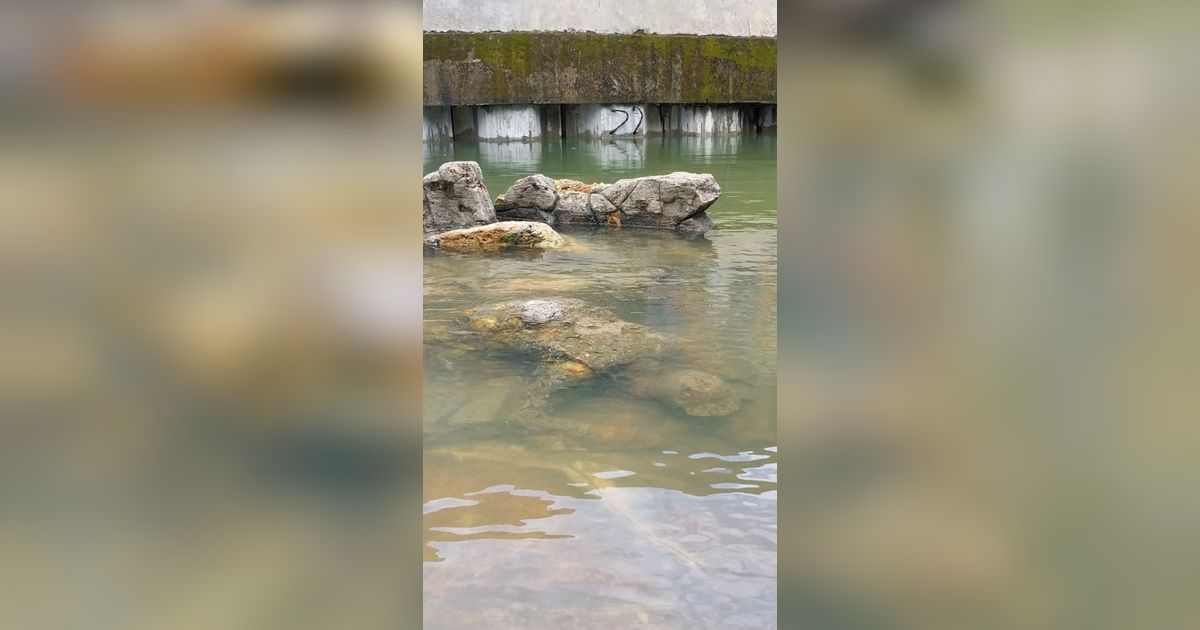 Penampakan Batu Malin Kundang 'Tenggelam', Kondisinya Seperti Kolam dan Dipenuhi Banyak Ikan