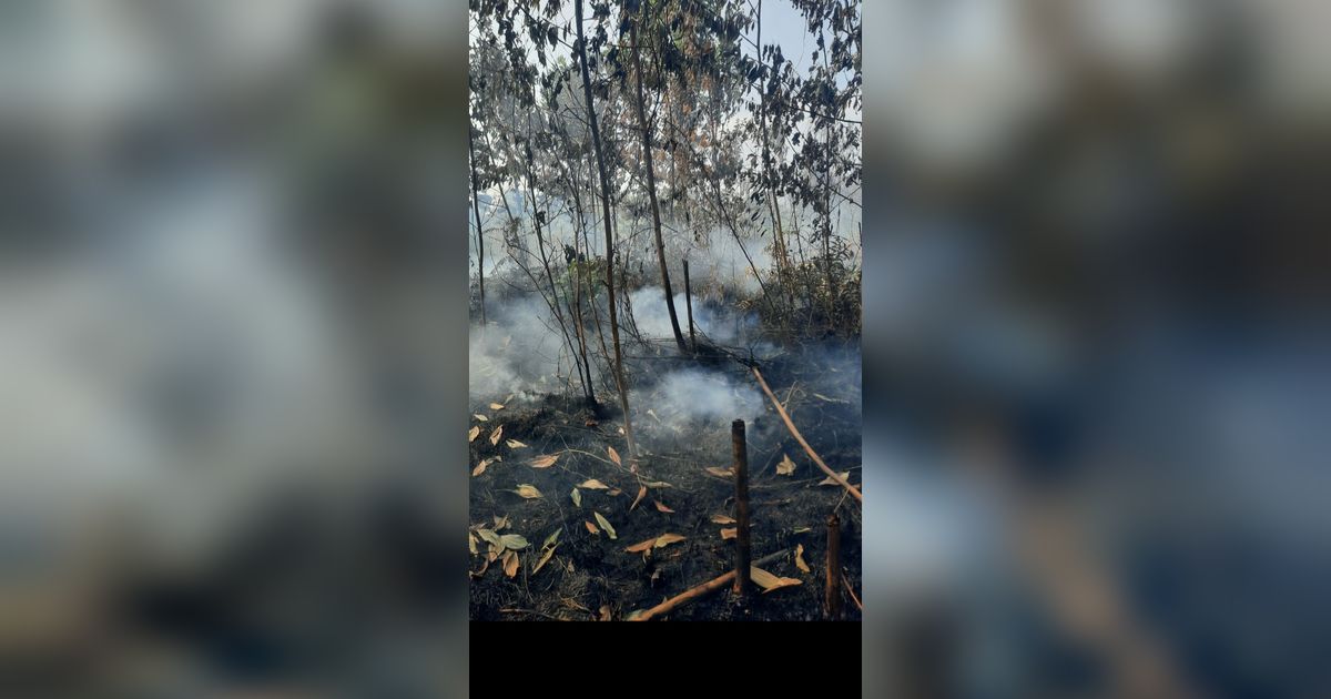 Miris, Asap Kebakaran Lahan di Kampar Riau Kepung Gedung Sekolahan