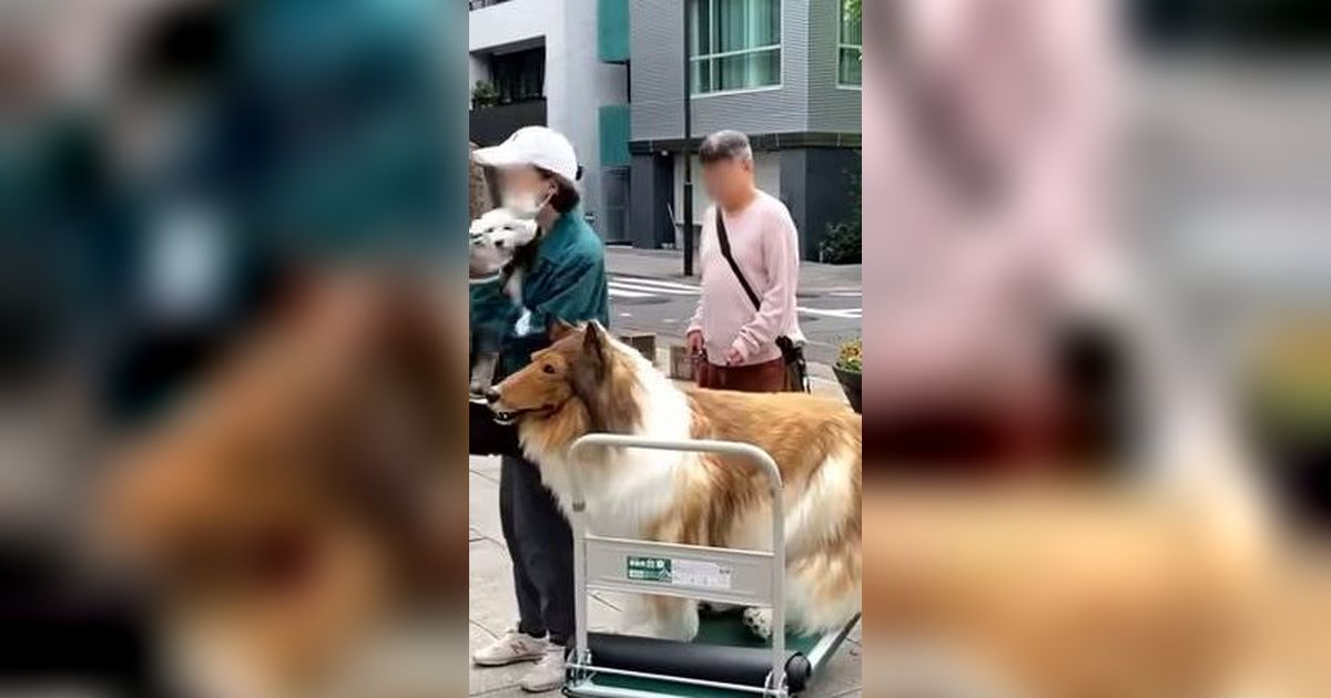 Viral Pria Jepang Wujudkan Impian 'Berubah' Jadi Anjing, Rela Habiskan Ratusan Juta Rupiah