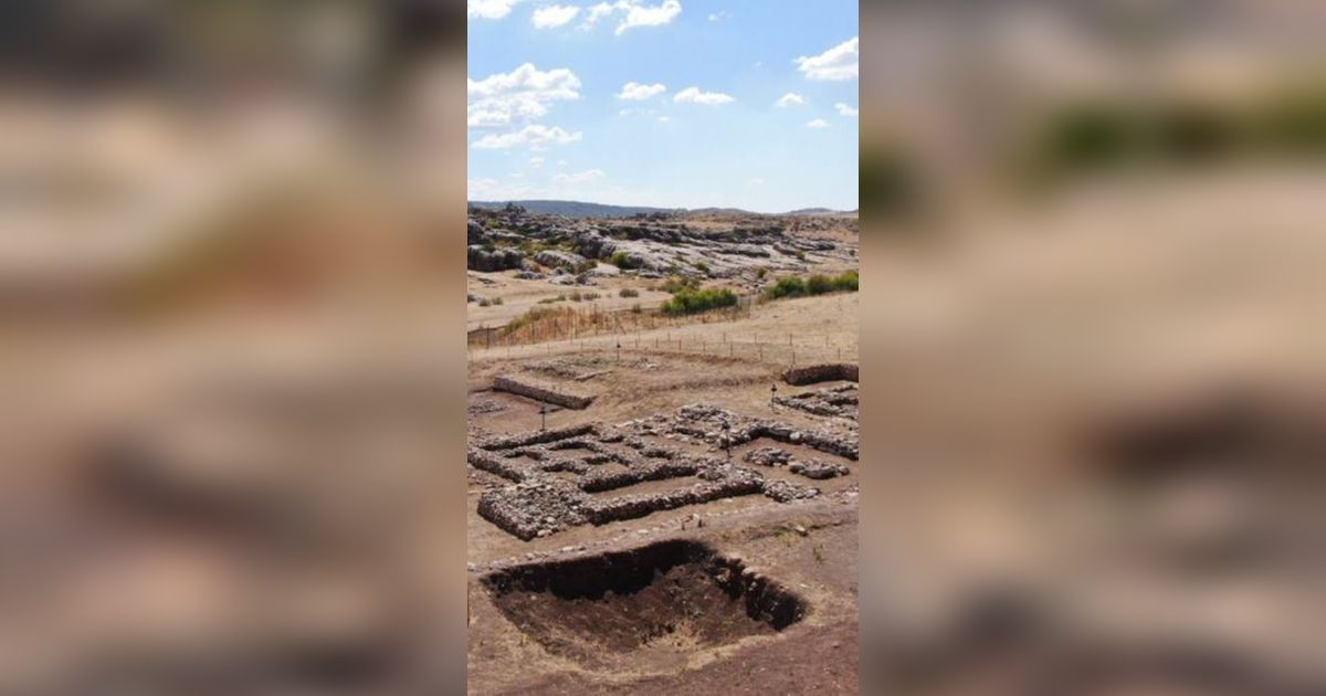 Penemuan Makam Berusia 9.500 Tahun Ungkap Sejarah Munculnya Budidaya Tanaman Paling Awal