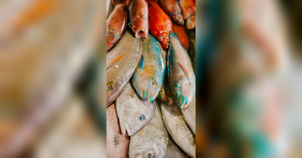 10 Jenis Ikan dengan Kandungan Protein Tinggi dan Harga Murah yang Bisa Dibeli di Pasar