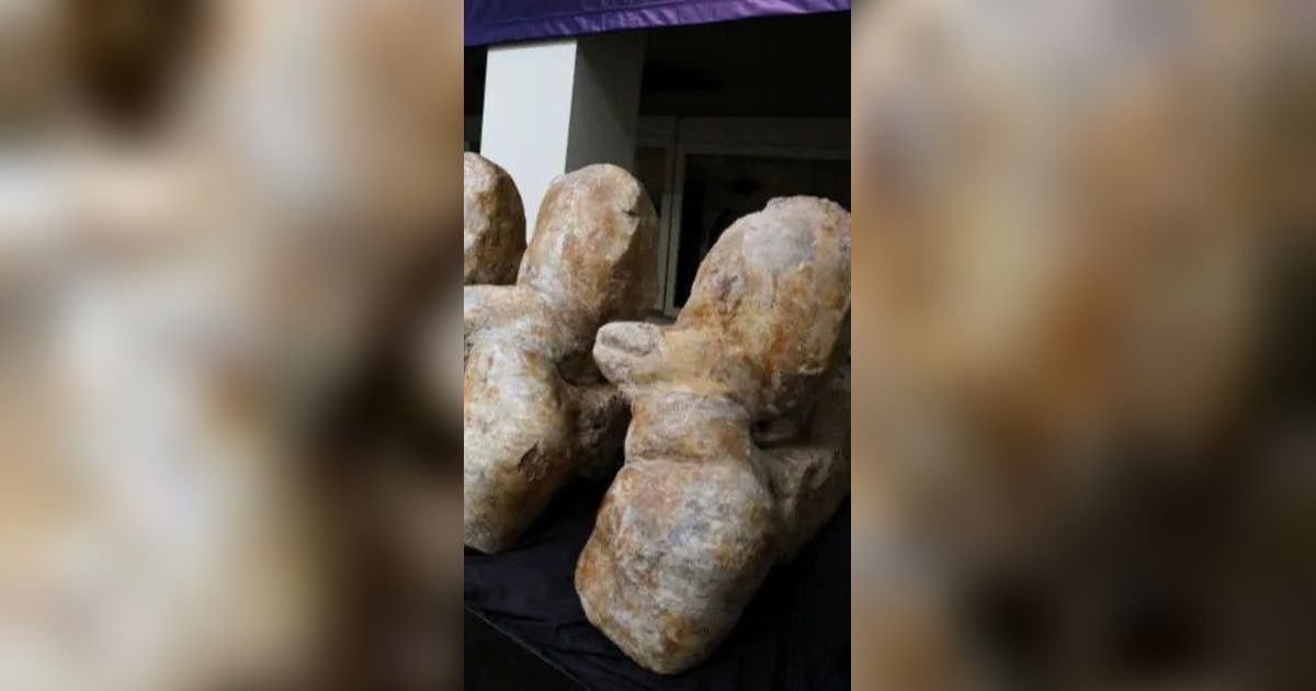 Bukan Dinosaurus, Hewan Terberat di Dunia Ditemukan di Gurun Peru