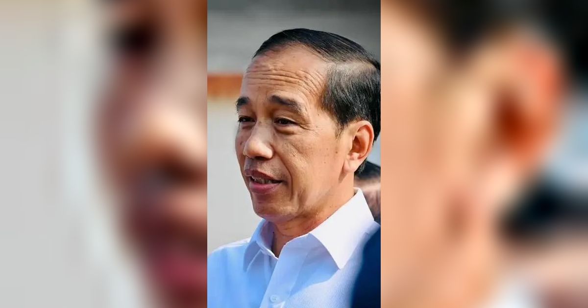 Presiden Jokowi: Harga Daging Ayam Sudah Turun