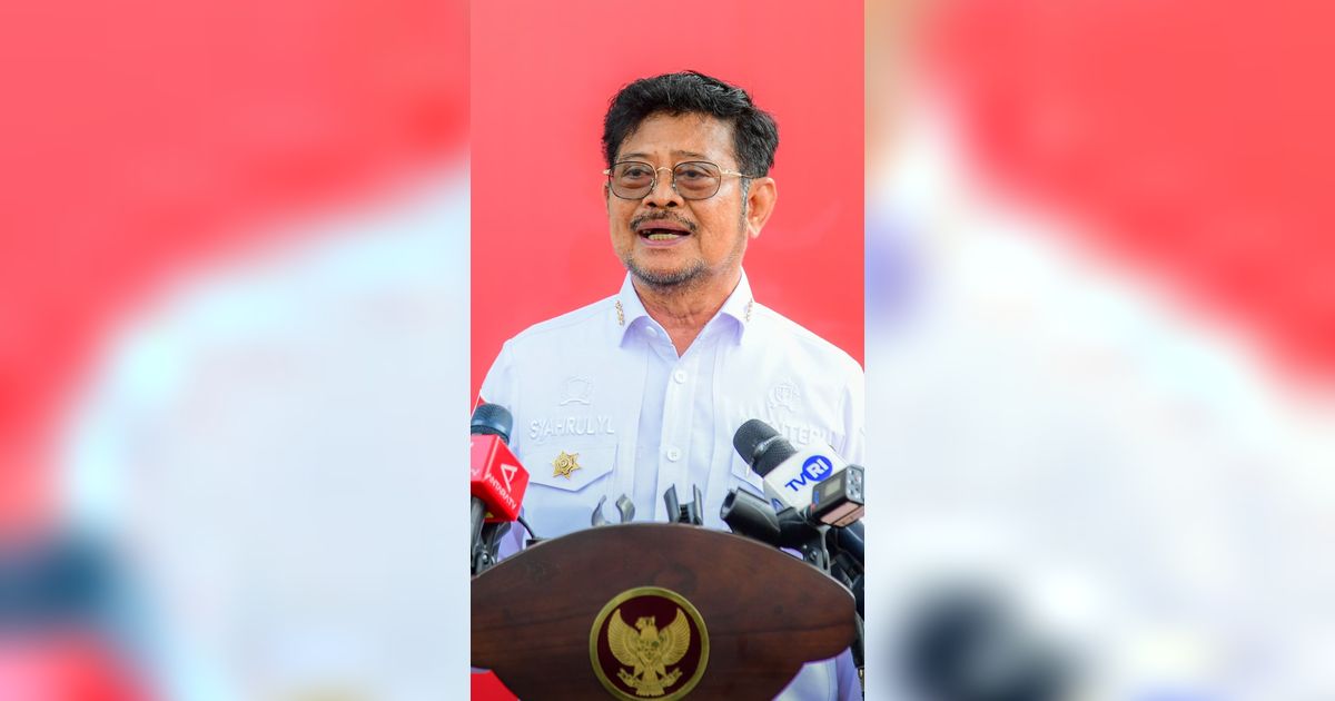 Hadapi El Nino, Pemerintah Pastikan Ketersediaan Beras Nasional Mencukupi