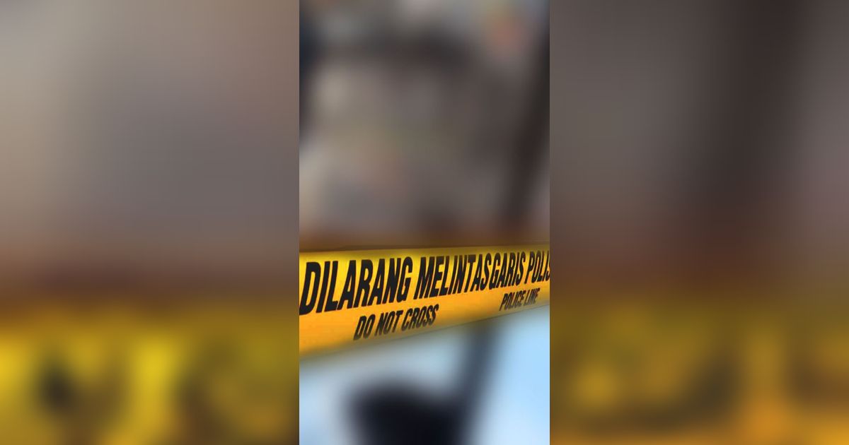 Driver Ojol di Bali Diduga Perkosa Turis Brasil, Begini Krolonoginya