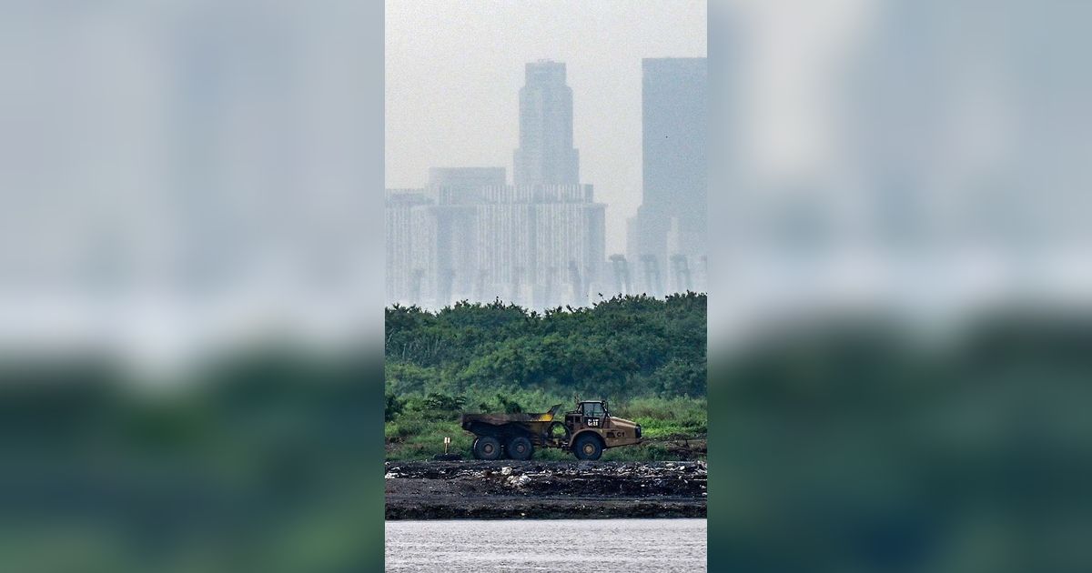 FOTO: Singapura Punya Pulau Terbuat dari Sampah di Dekat Indonesia, Begini Penampakannya