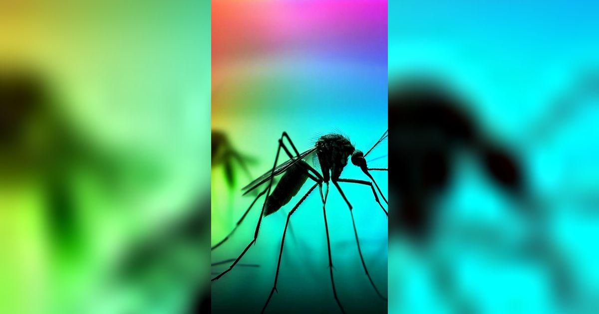 Ini Warna-warna yang Efektif Membuat Nyamuk Menjauh dari Kita