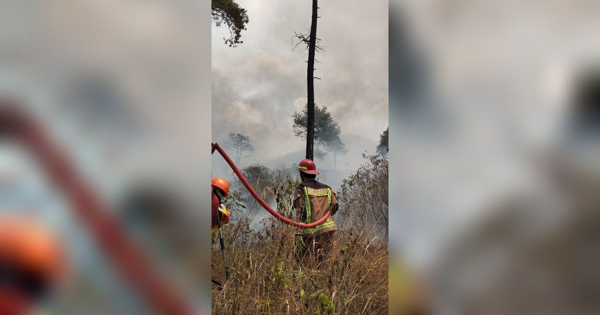 Terungkap, Penyebab Kebakaran di Gunung Guntur Akibat Siswa SMP Bakar Alang-Alang