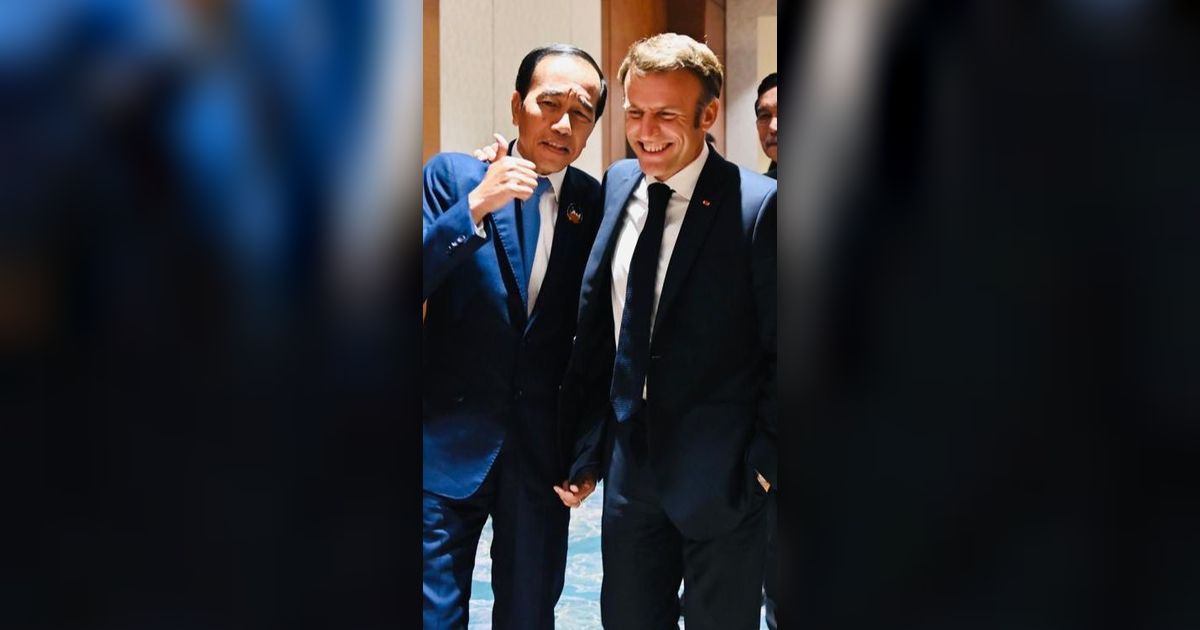 Bertemu Presiden Macron, Jokowi Apresiasi Investasi Prancis ke IKN