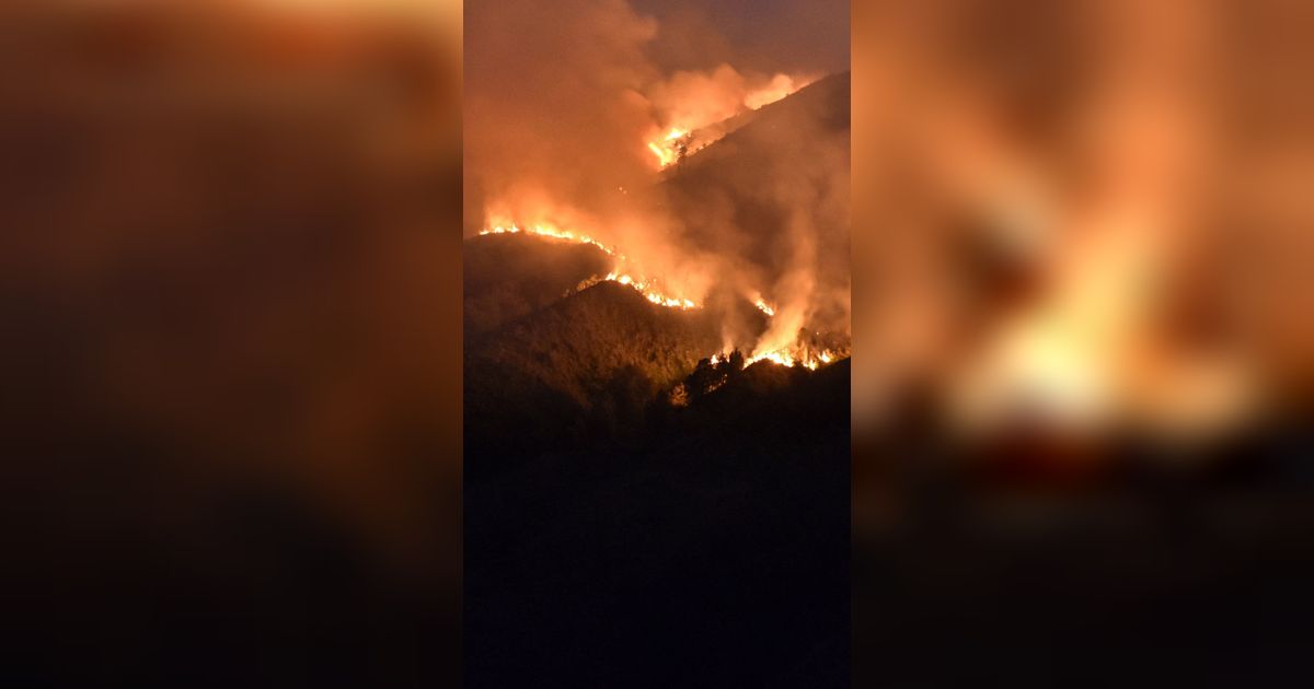 Gunung Bromo Ditutup Bagi Wisatawan Gara-gara Kebakaran, Hanya Dibuka untuk Warga Adat Ngadas & Ranupani