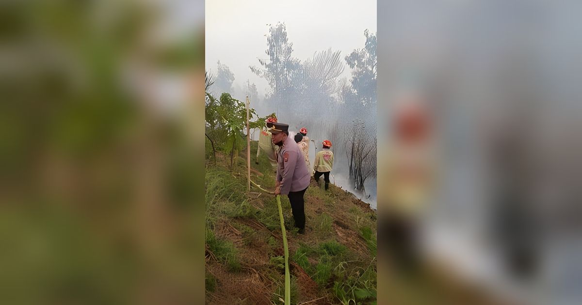 Kebakaran Gunung Bromo Merembet hingga Poncokusumo Malang