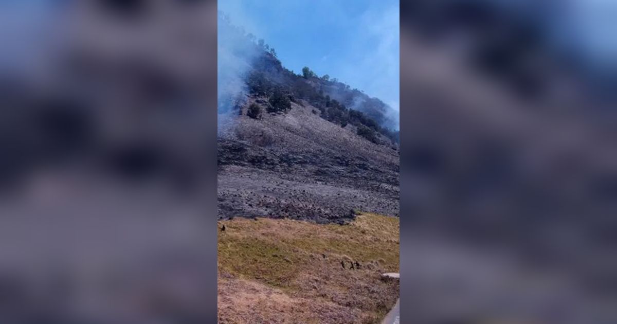 Kebakaran Gunung Bromo Akibat Foto Prewed Pakai Flare, Helikopter Siram Air Lewat Udara