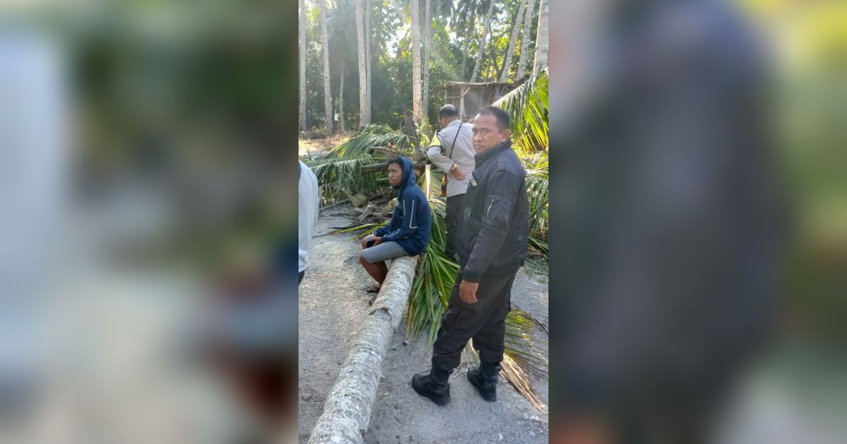 Angin Kencang, Siswa SMA di Kupang Tewas Tertimpa Pohon Kelapa Tumbang