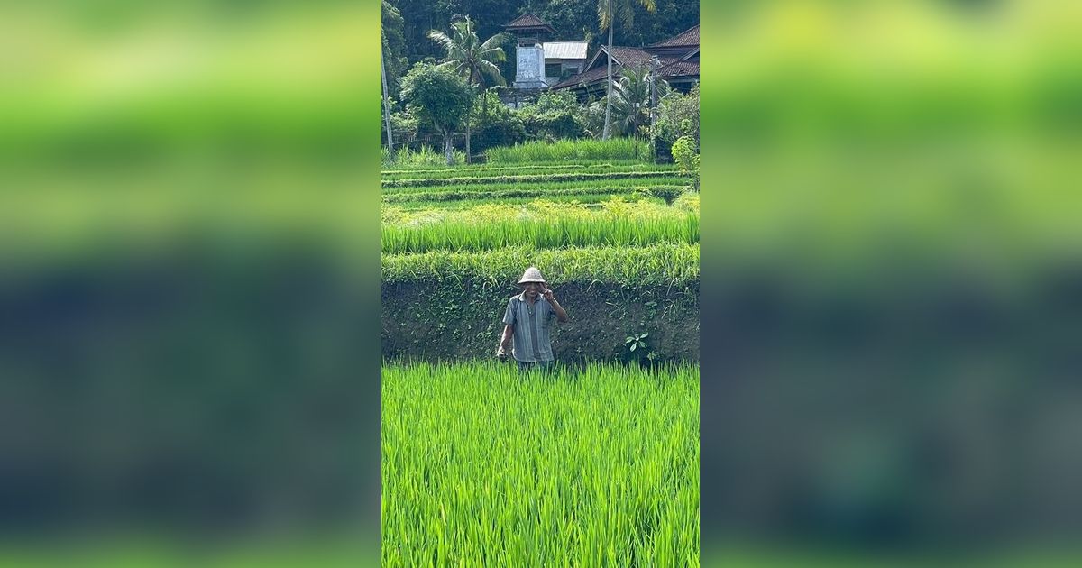 Program Irigasi Perpompaan Selamatkan 48 Ha Sawah di Kota Banjarmasin