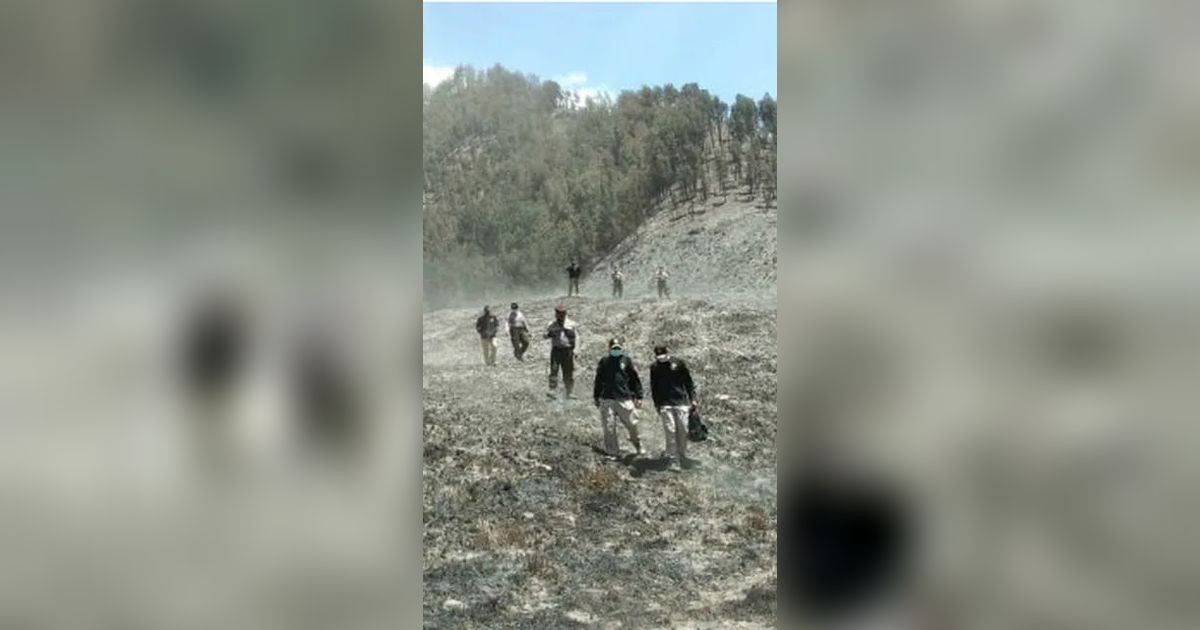 Update Kebakaran Gunung Bromo, Berikut Titik Api yang Belum Padam