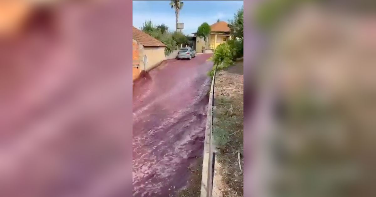 Desa Kecil di Kota Ini Banjir Anggur Merah, Ternyata Ini Gara-Garanya