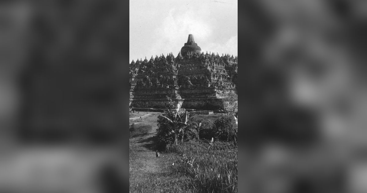 Potret Lawas Candi Borobudur Tahun 1912, Menjulang di Pinggir Sawah & Penuh Ilalang