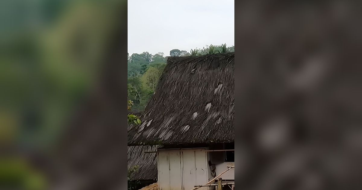 Melihat Rumah Orang Sunda di Kampung Naga Tasikmalaya, Lantai Dapurnya Bisa Kelola Sisa Makanan