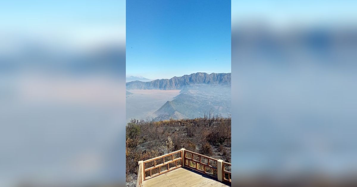 Kronologi Lengkap Kebakaran Bukit Teletubbies Gunung Bromo, Sebelum atau Setelah Foto Prewedding?