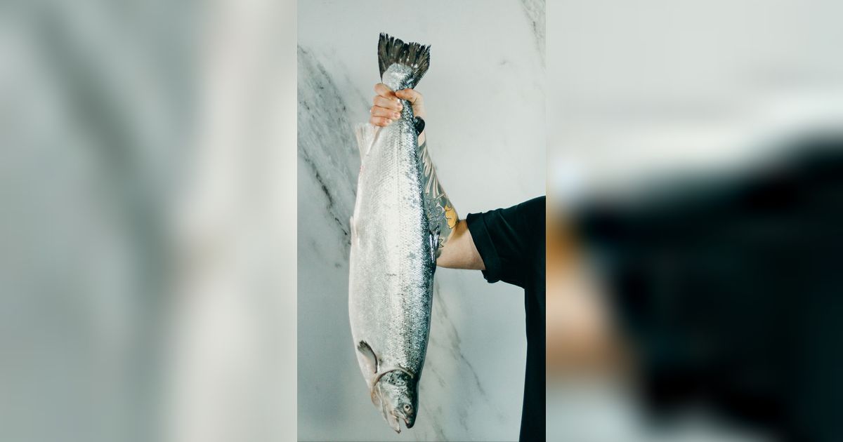 Deretan Ikan Kaya Omega-3 dan Rendah Merkuri yang Bisa Dibeli dengan Mudah