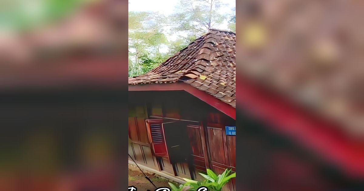 Tak Disangka, Rumah Kayu di Tengan Hutan Ini Ternyata Milik Pahlawan Nasional, Vibesnya Beda Banget!